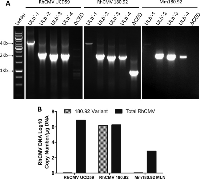 FIG 2