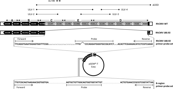 FIG 1