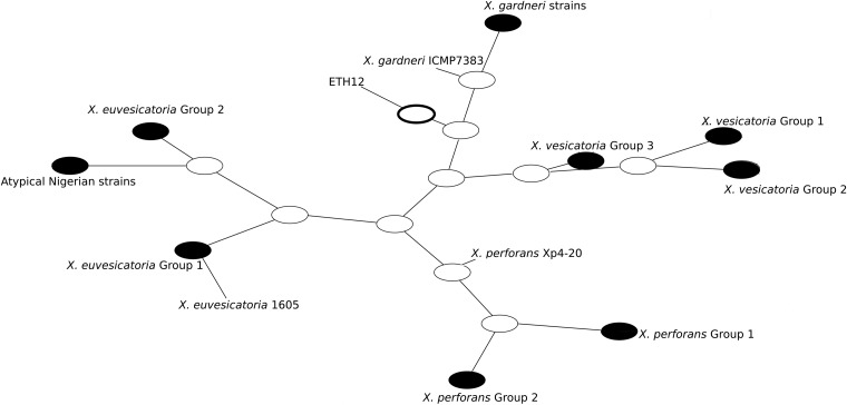 FIG 3