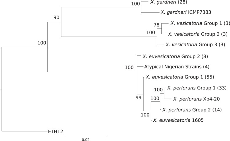 FIG 1