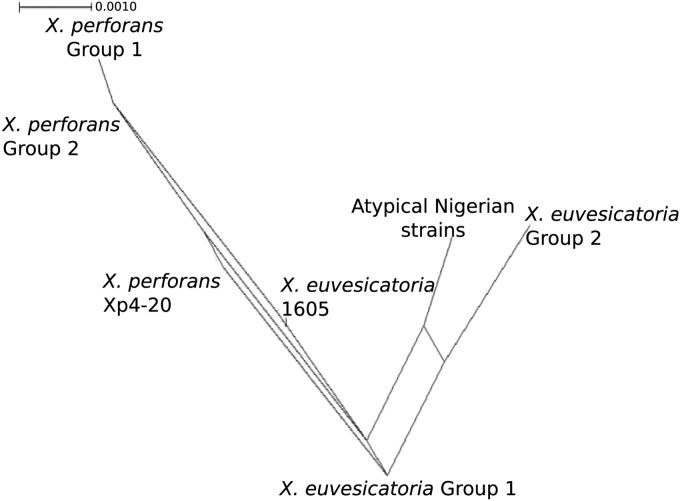 FIG 2