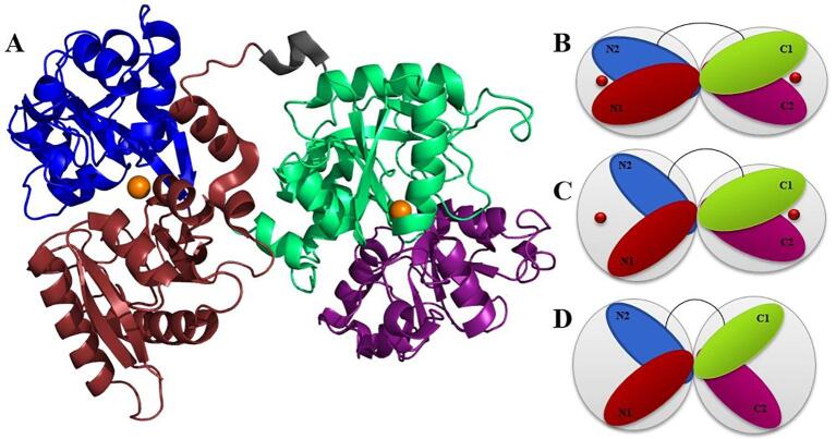 Fig. 1