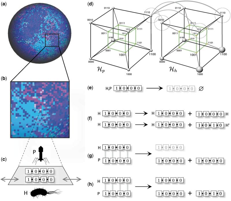 Figure 2.