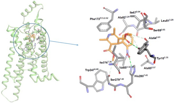 Figure 6