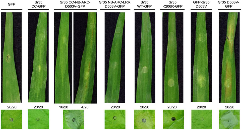 Fig. 4.