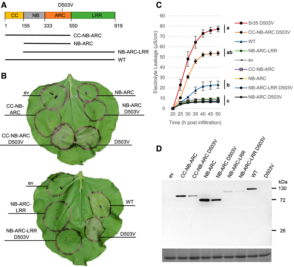 Fig. 3.