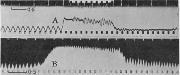 Fig. 18