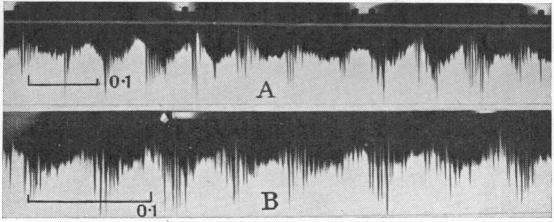 Fig. 21