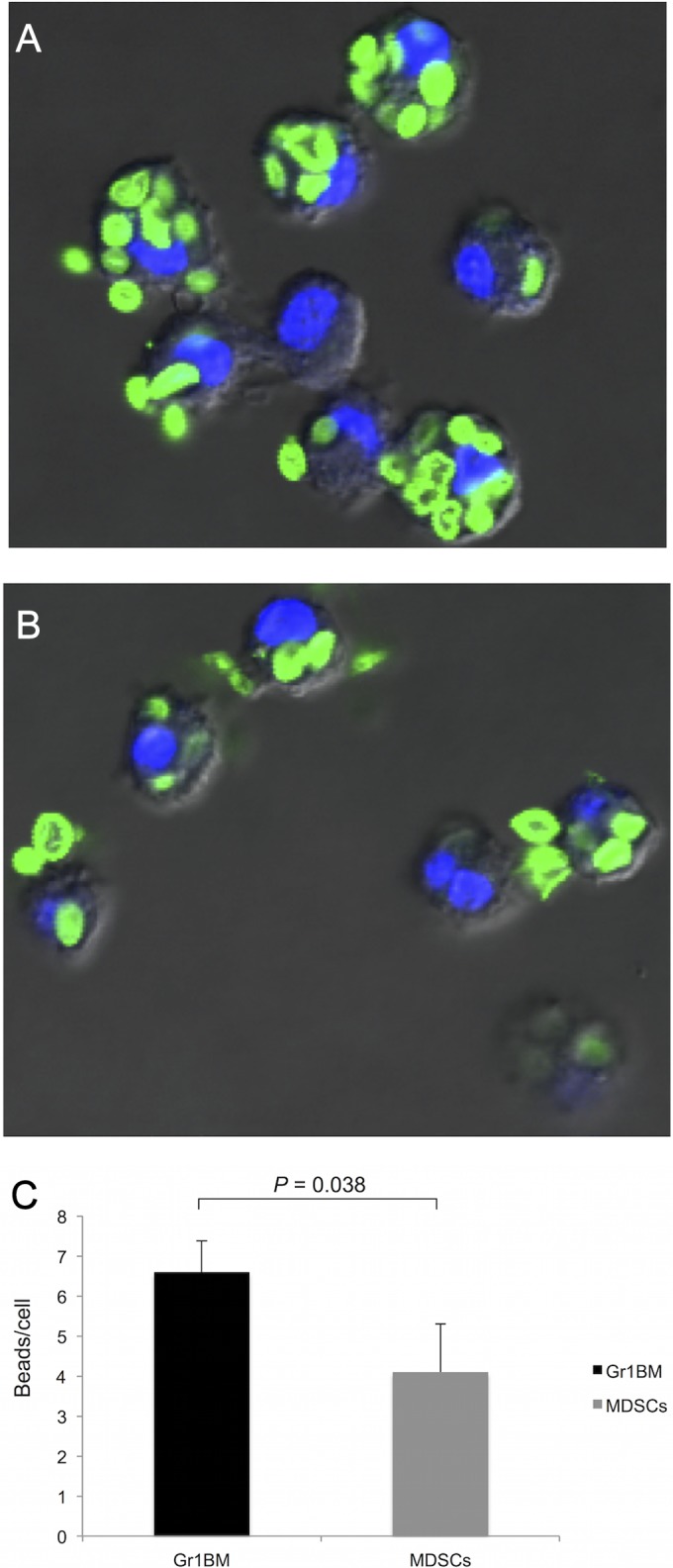 FIG 2