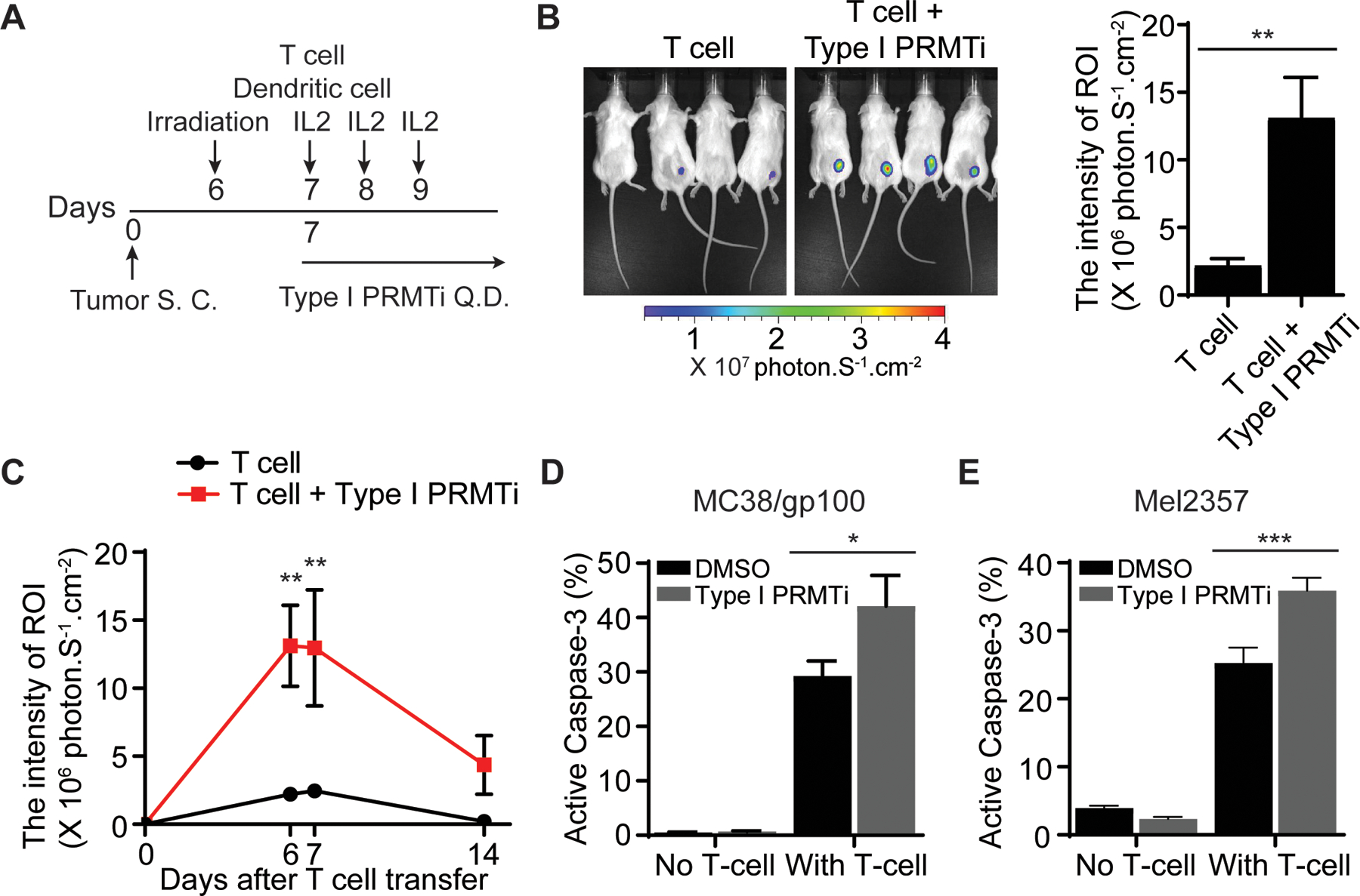 Fig. 4: