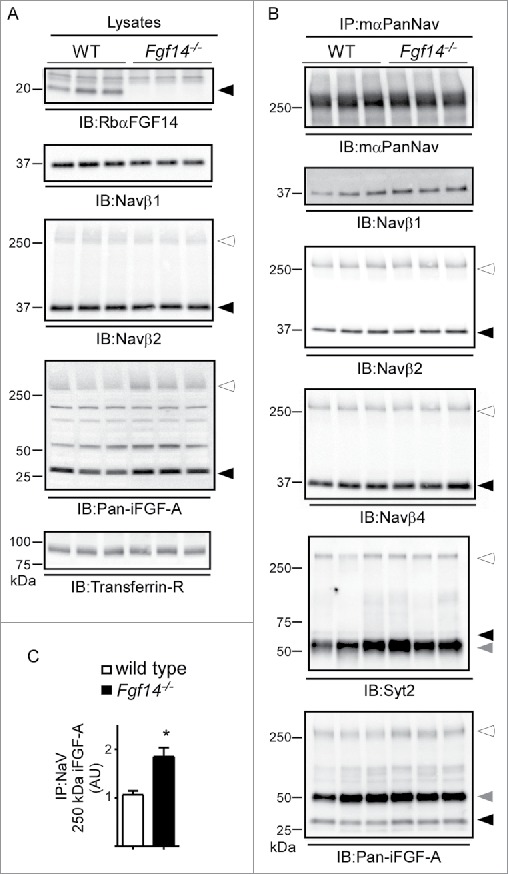 Figure 5.