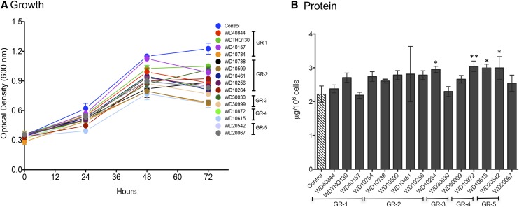 Figure 4.