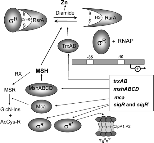 FIG. 3.