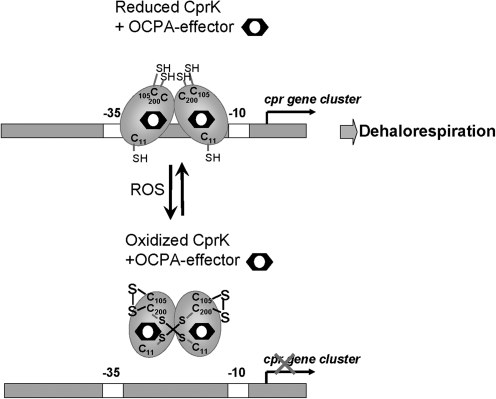 FIG. 6.