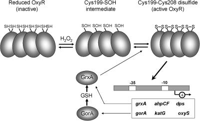 FIG. 2.