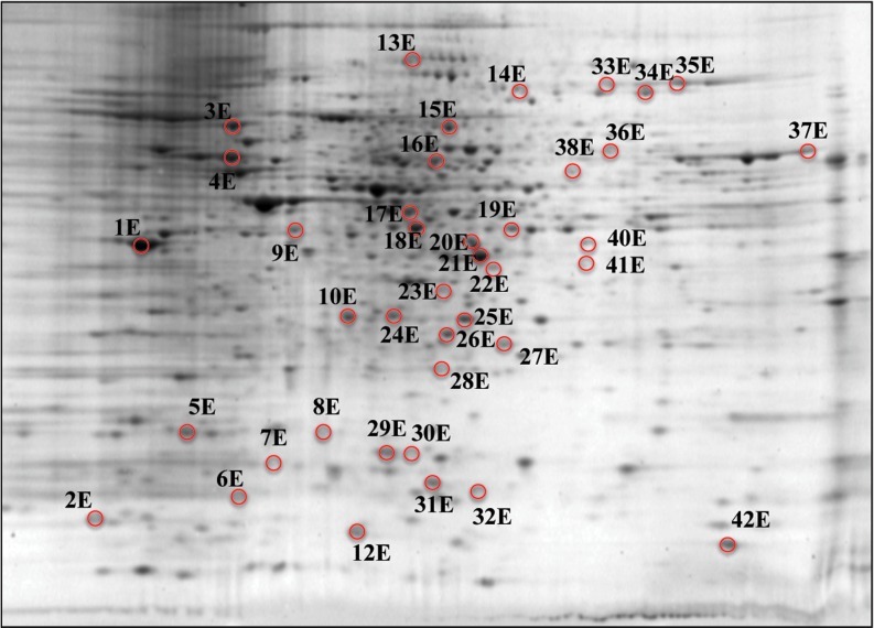 FIG. 5.