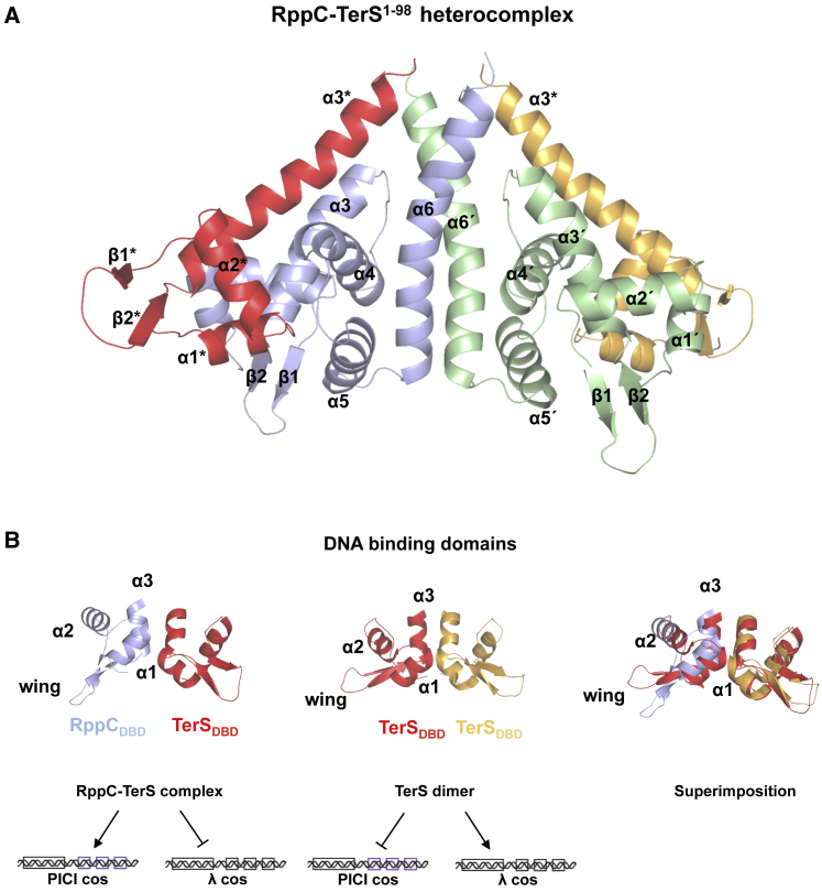 Figure 5