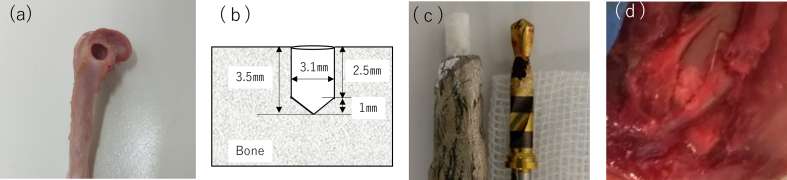 Fig. 1