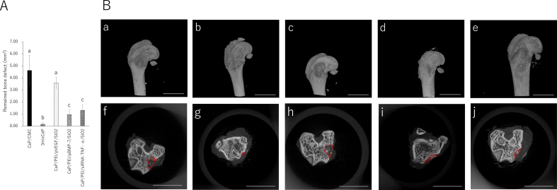 Fig. 8