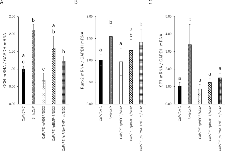 Fig. 7