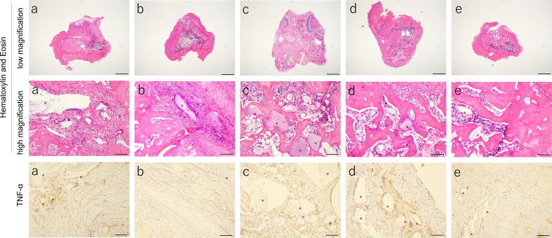 Fig. 9