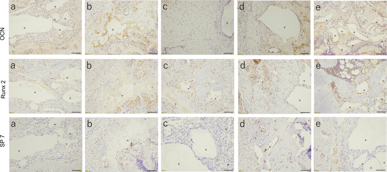 Fig. 9