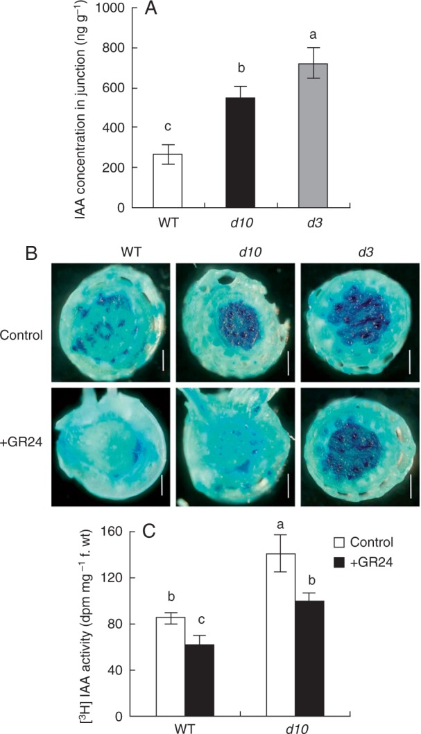 Fig. 4.