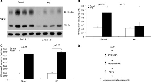 Figure 10.