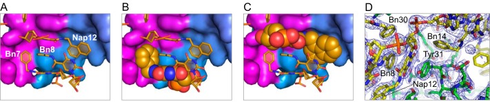 FIGURE 10.