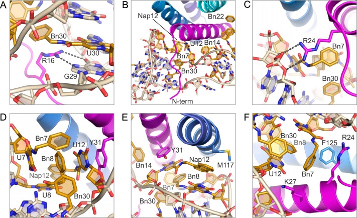 FIGURE 4.