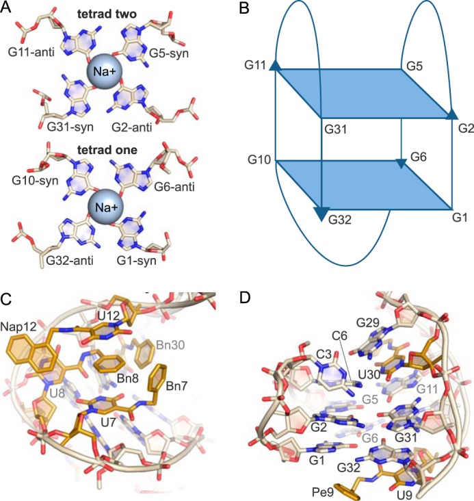 FIGURE 3.