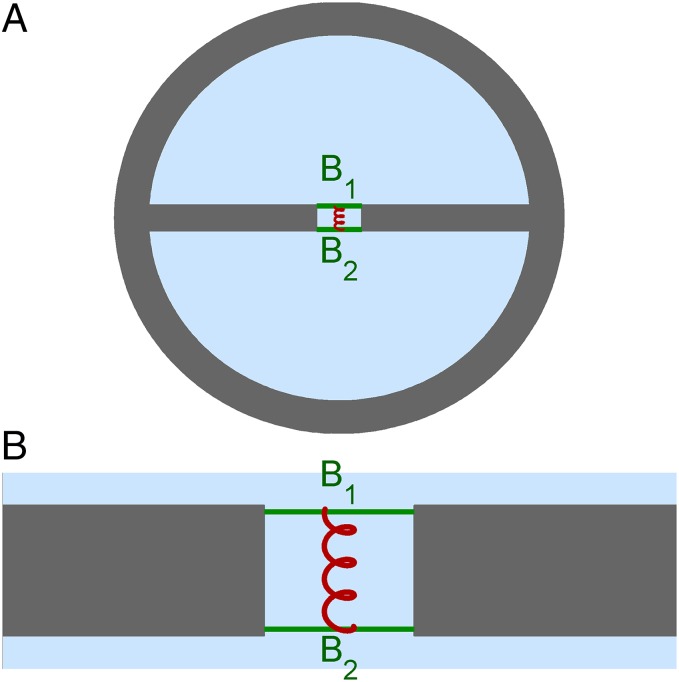 Fig. 1.