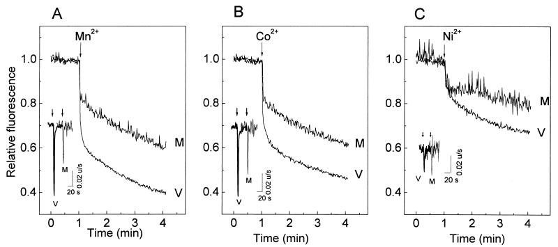 FIG. 7