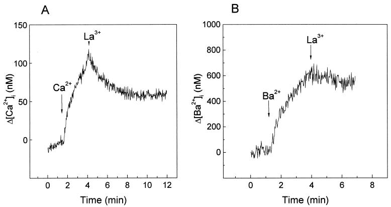 FIG. 9