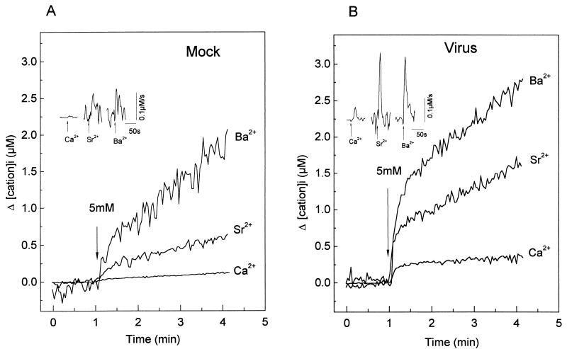 FIG. 6