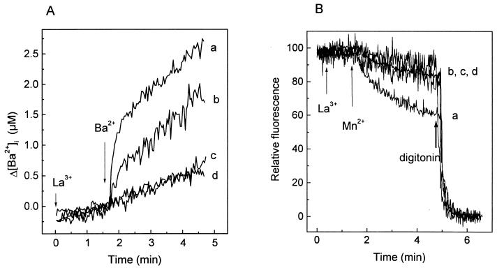 FIG. 8