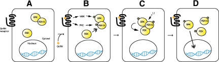 Fig. 9.