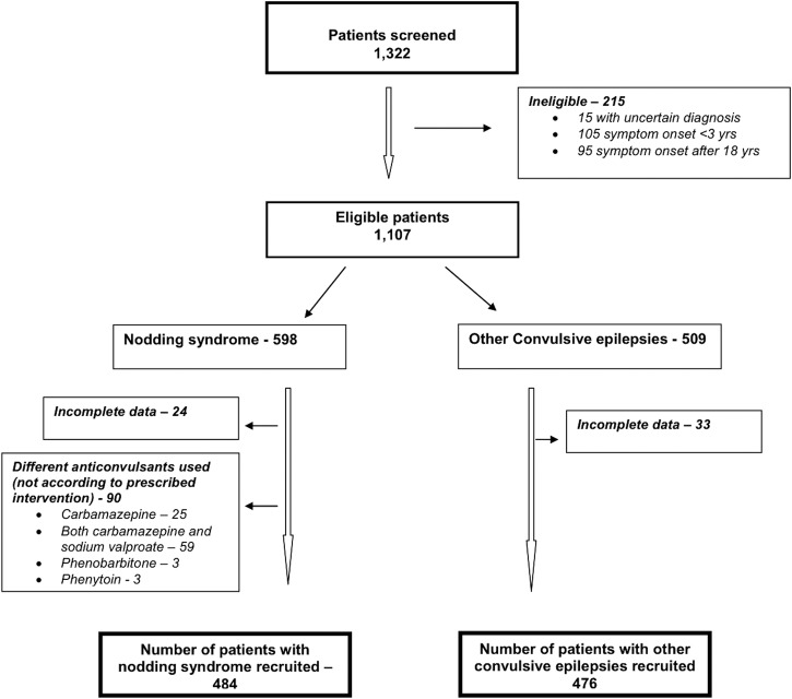 Figure 1