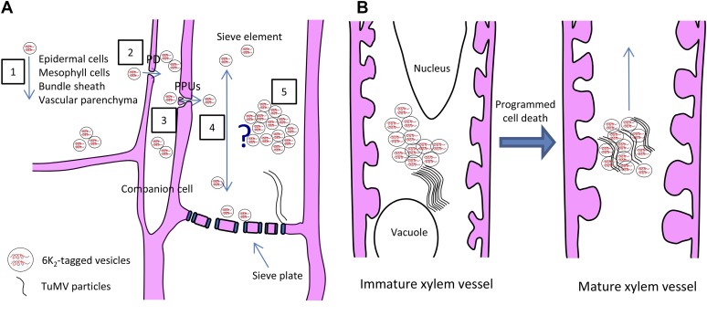 Figure 10.