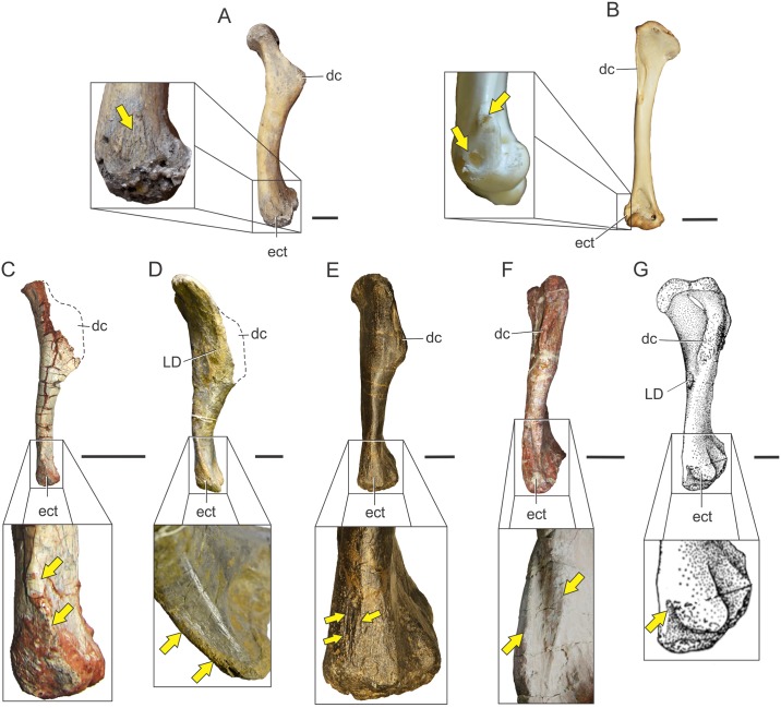 Fig 15