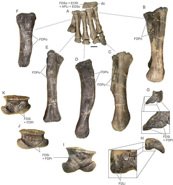 Fig 18