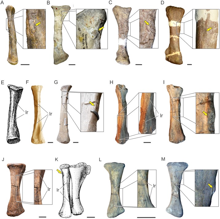 Fig 14