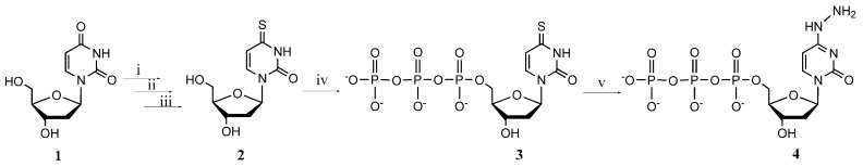 Scheme 1