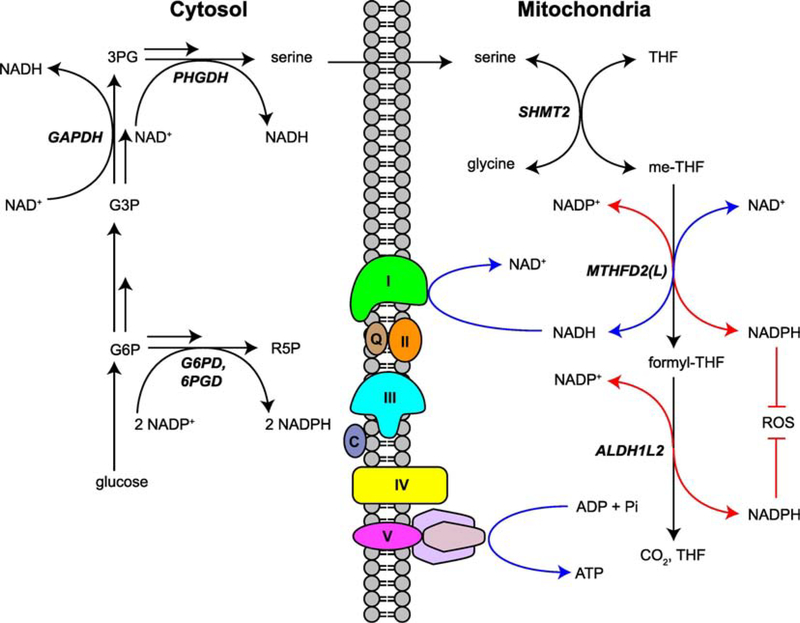 Figure 2.