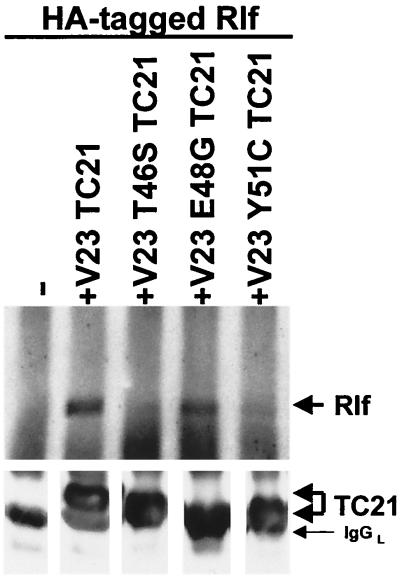 FIG. 7