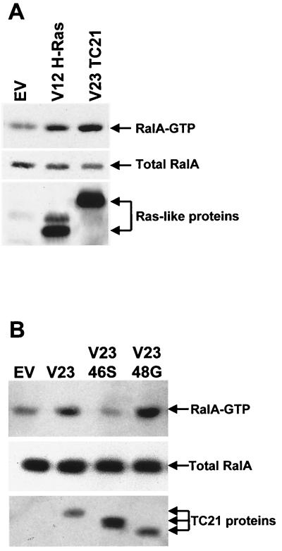 FIG. 9