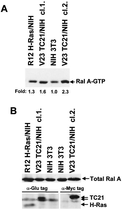 FIG. 8