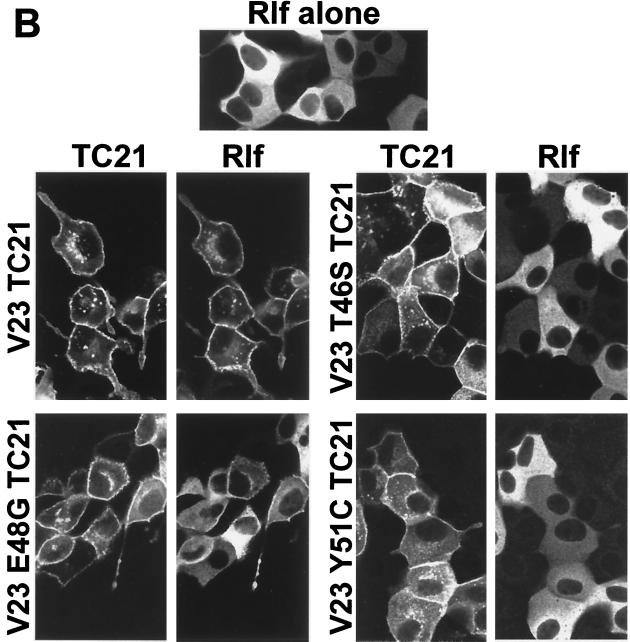 FIG. 6