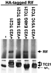 FIG. 7