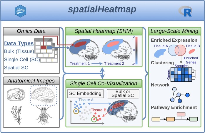 Graphical Abstract